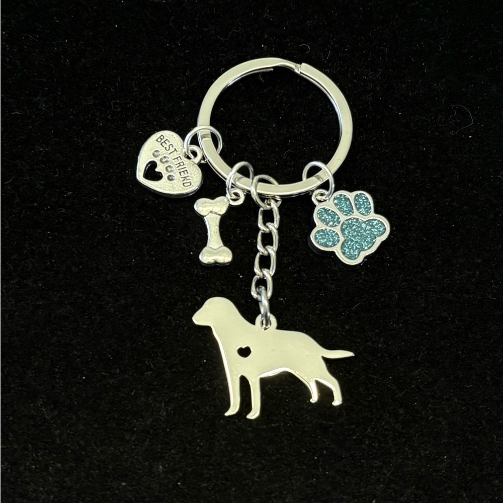 “Best Friend” Retriever Dog Keychain with crystal Paw Charm